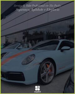 valet ou manobrista profissional